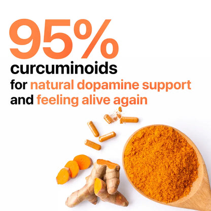 Turmeric Curcumin 95